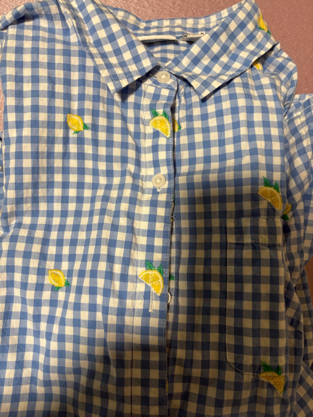 Kim Rogers Blue Gingham Fresh Lemon Embroidered Button-Up Blouse.Roll-Tab Sleeve